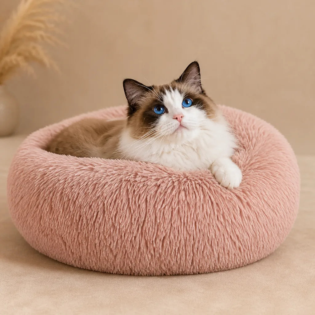 Tapis Rond Pour Chien